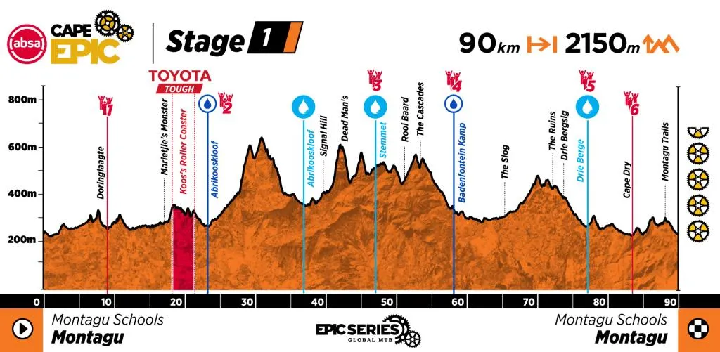 Perfil de la Etapa 1