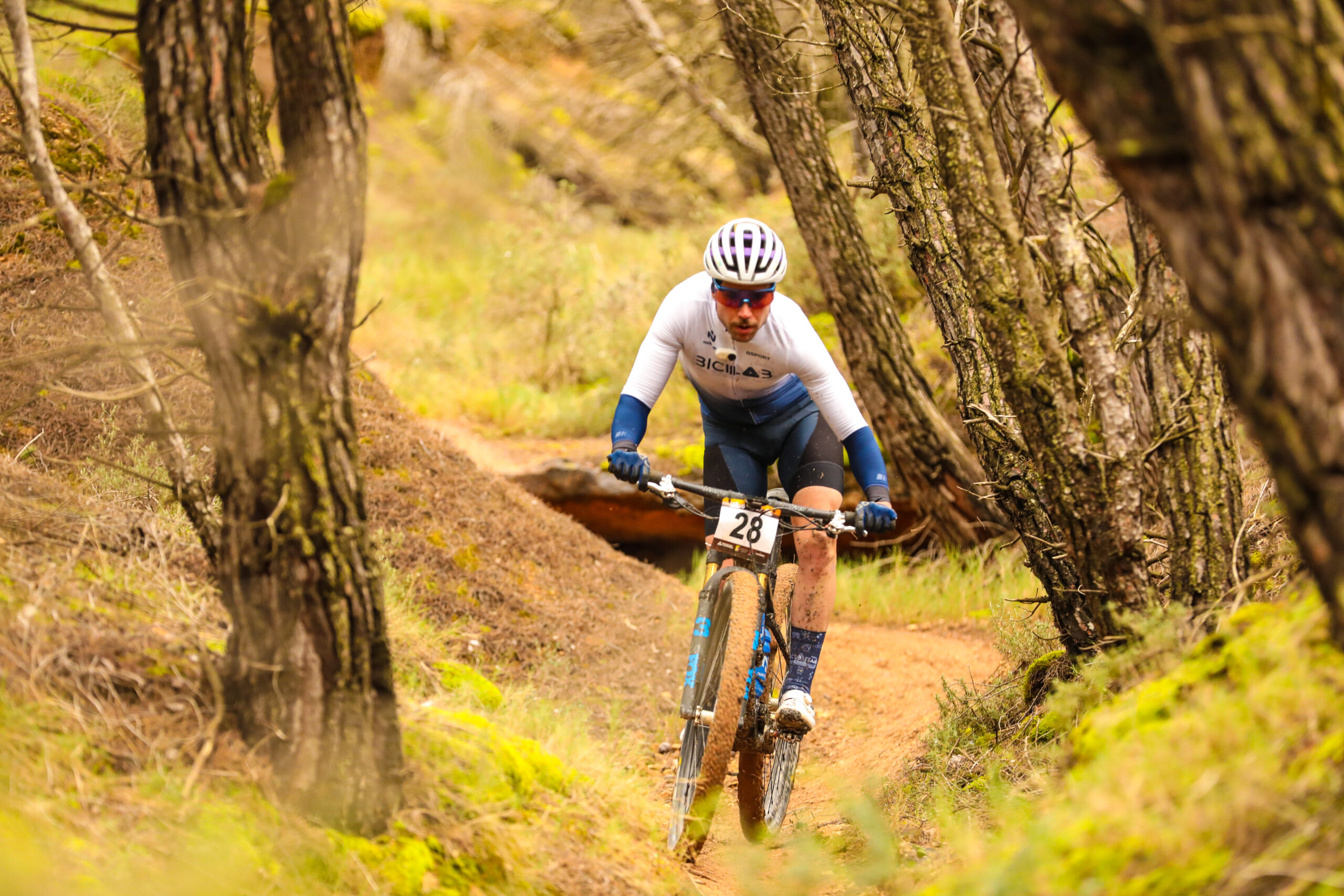 Calcetines BCLB 2025 by Wabiks - Imagen 4